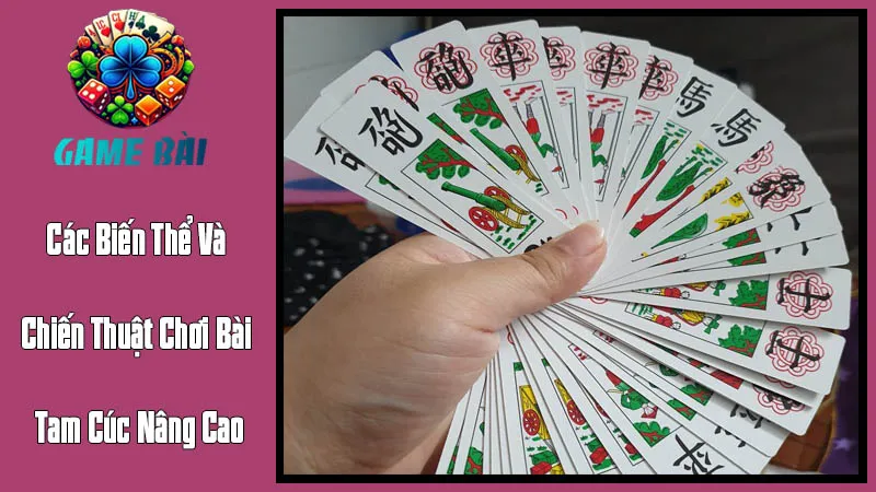 Các Biến Thể Và Chiến Thuật Chơi Bài Tam Cúc Nâng Cao Các Biến Thể Và Chiến Thuật Chơi Bài Tam Cúc Nâng Cao