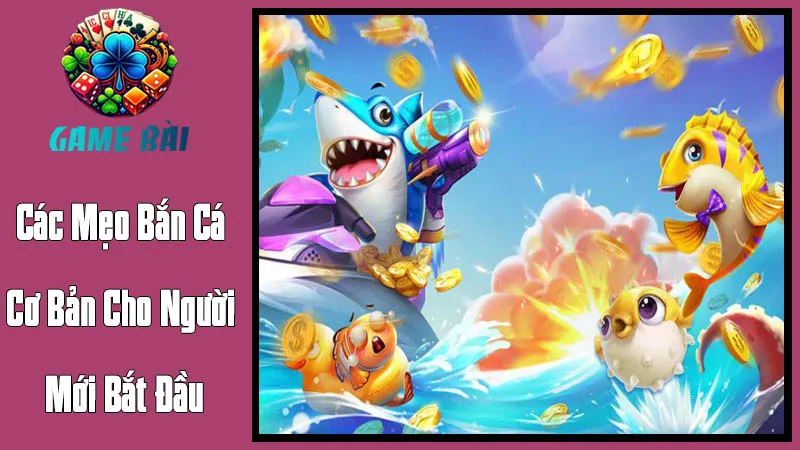 Các Mẹo Bắn Cá Cơ Bản Cho Người Mới Bắt Đầu Các Mẹo Bắn Cá Cơ Bản Cho Người Mới Bắt Đầu