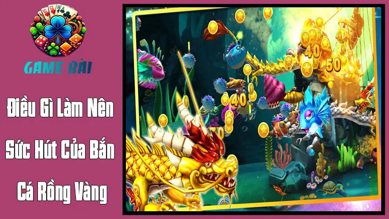 Điều Gì Làm Nên Sức Hút Của Bắn Cá Rồng Vàng? Điều Gì Làm Nên Sức Hút Của Bắn Cá Rồng Vàng?