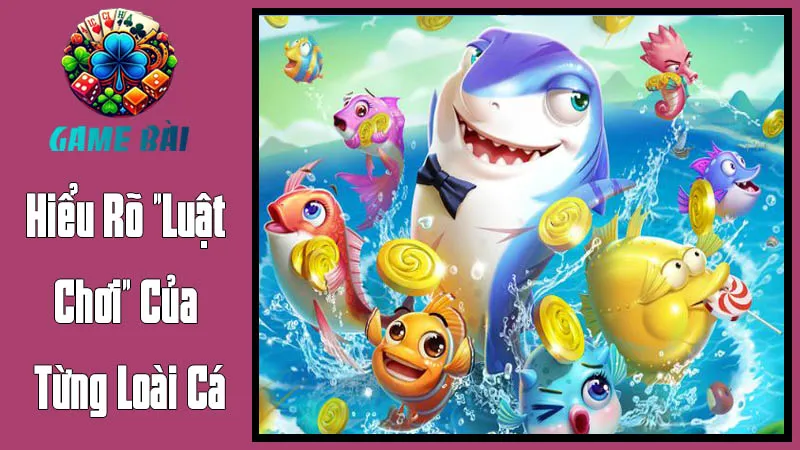 Hiểu Rõ Luật Chơi Của Từng Loài Cá Hiểu Rõ Luật Chơi Của Từng Loài Cá