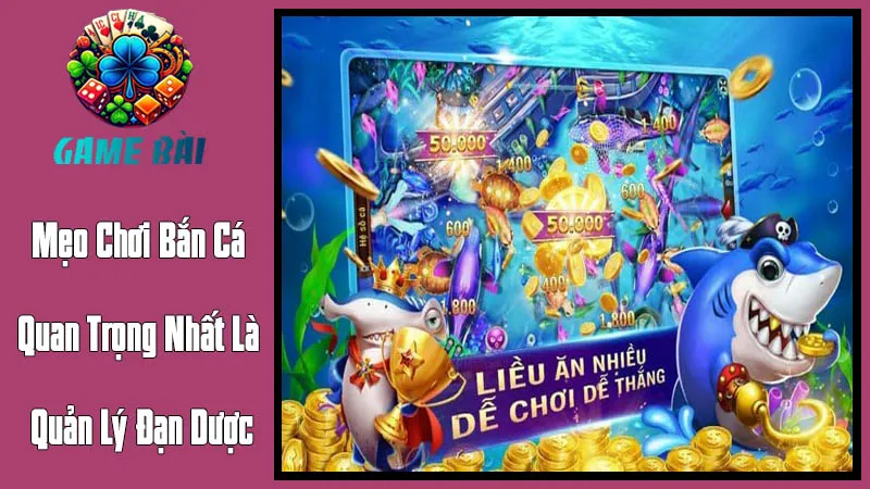 Mẹo Chơi Bắn Cá Quan Trọng Nhất Là Quản Lý Đạn Dược Mẹo Chơi Bắn Cá Quan Trọng Nhất Là Quản Lý Đạn Dược