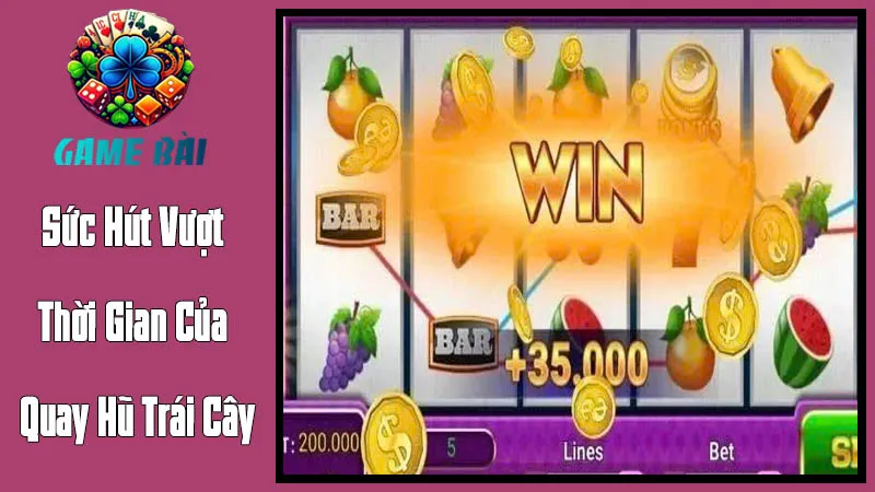 Sức Hút Vượt Thời Gian Của Quay Hũ Trái Cây Sức Hút Vượt Thời Gian Của Quay Hũ Trái Cây